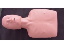 TY-CPR120簡易心肺復(fù)蘇訓(xùn)練模型