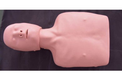 TY-CPR120簡(jiǎn)易心肺復(fù)蘇訓(xùn)練模型